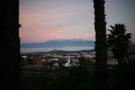 IMG 3739