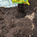 filling-new-raised-bed-184