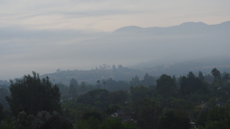P9150011.JPG