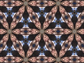 kaleidopeople